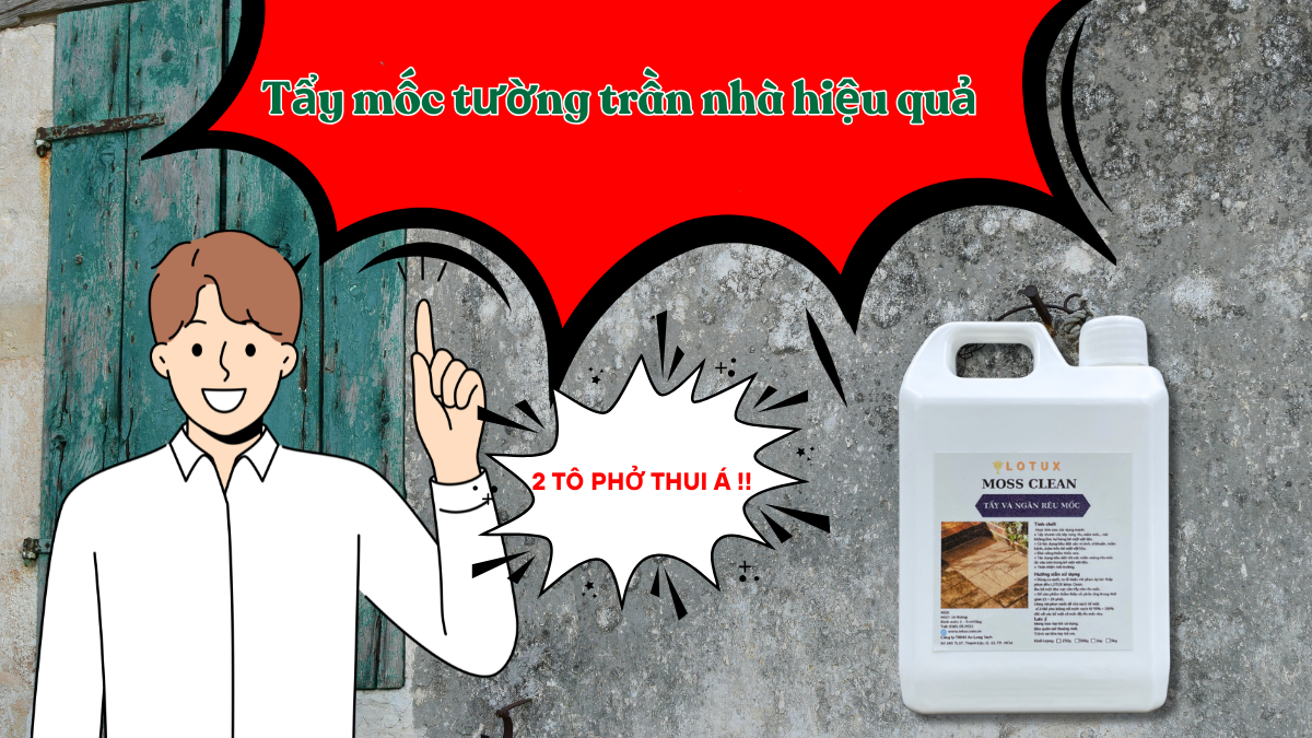 Xử Lý Tường, Trần Nhà Bị Mốc Nặng Chỉ Với Chai Nước Tẩy Đặc Biệt Này!