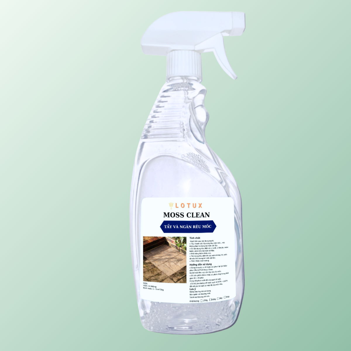 LOTUX MOSS CLEAN Dung Dịch Tẩy Rêu Mốc