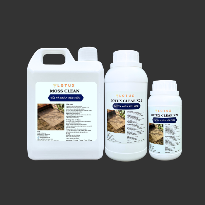 Nước tẩy mốc Lotux Moss Clean