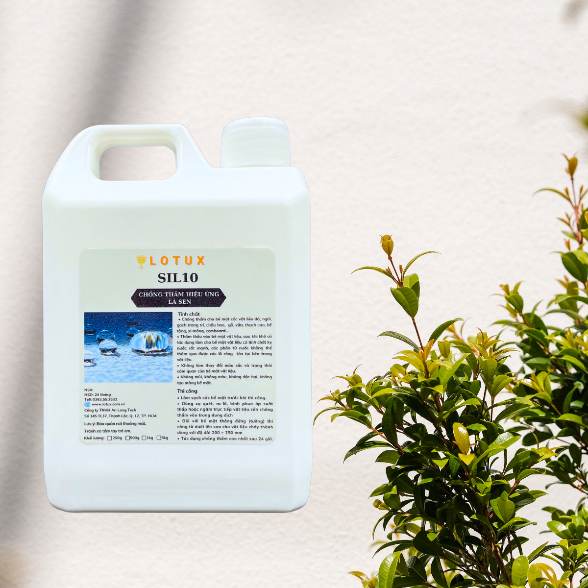 Sơn chống thấm gỗ Lotux SIL 10