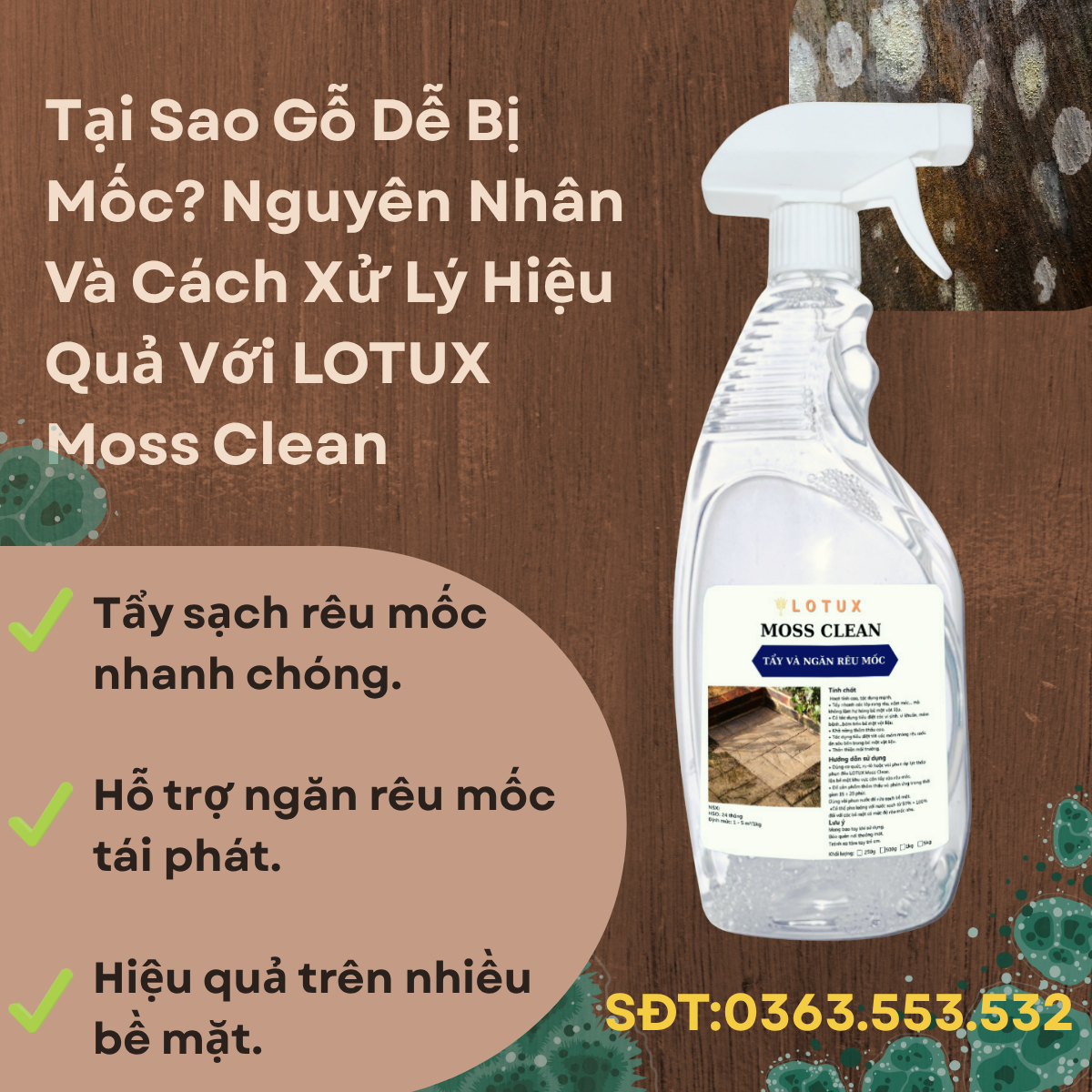 Tại Sao Gỗ Dễ Bị Mốc? Nguyên Nhân Và Cách Xử Lý Hiệu Quả Với LOTUX Moss Clean
